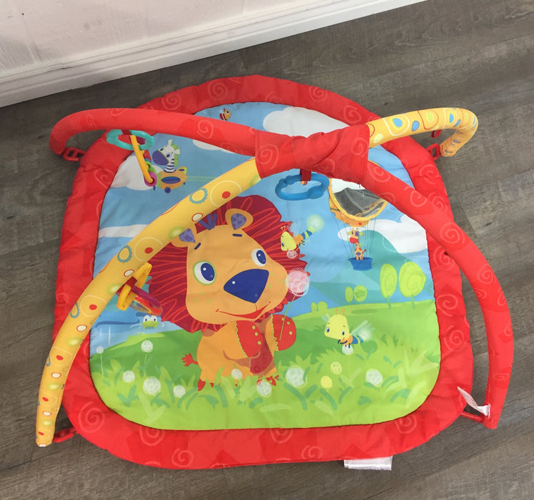 Bright Starts Activity Gym, Lion in the Park